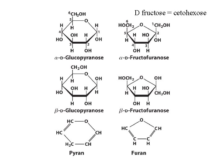 D fructose = cetohexose 