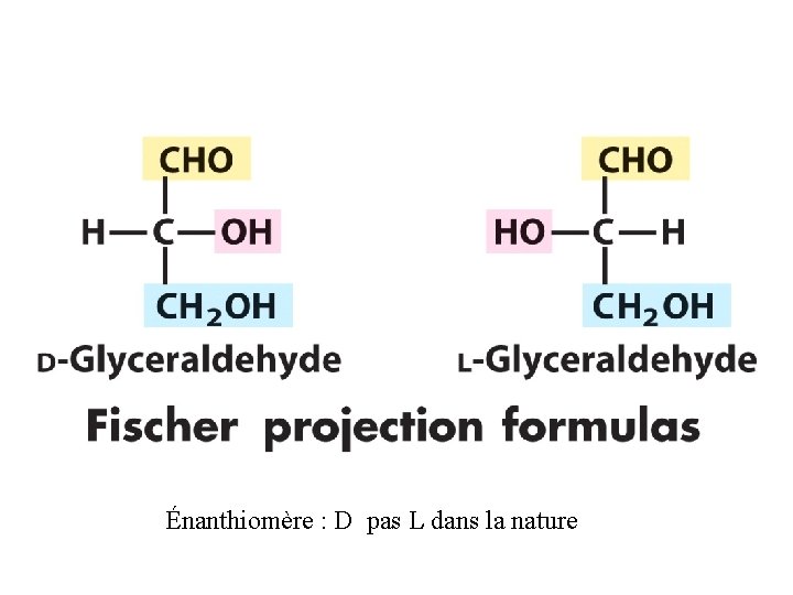 Énanthiomère : D pas L dans la nature 