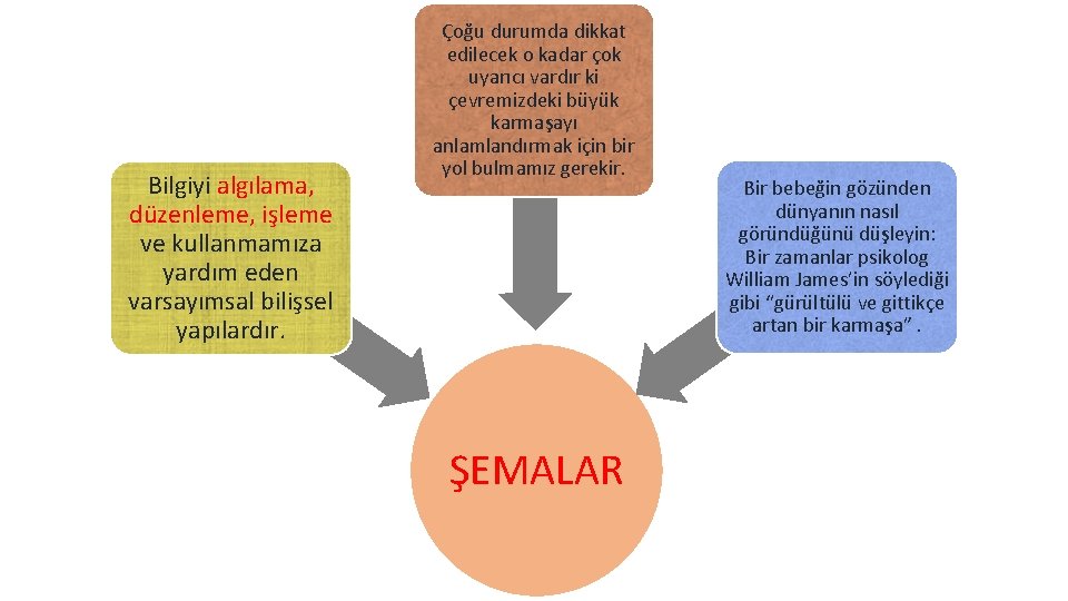 Bilgiyi algılama, düzenleme, işleme ve kullanmamıza yardım eden varsayımsal bilişsel yapılardır. Çoğu durumda dikkat