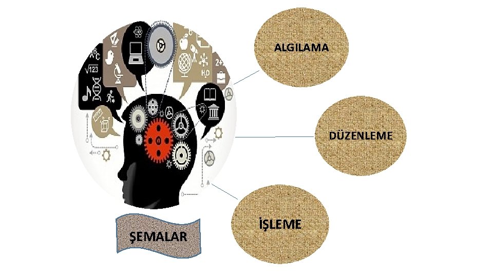 ALGILAMA DÜZENLEME ŞEMALAR İŞLEME 