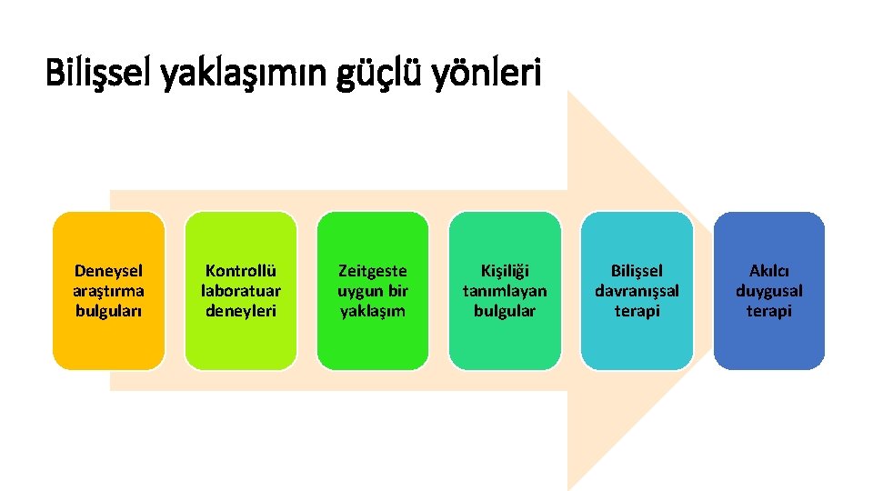 Bilişsel yaklaşımın güçlü yönleri Deneysel araştırma bulguları Kontrollü laboratuar deneyleri Zeitgeste uygun bir yaklaşım