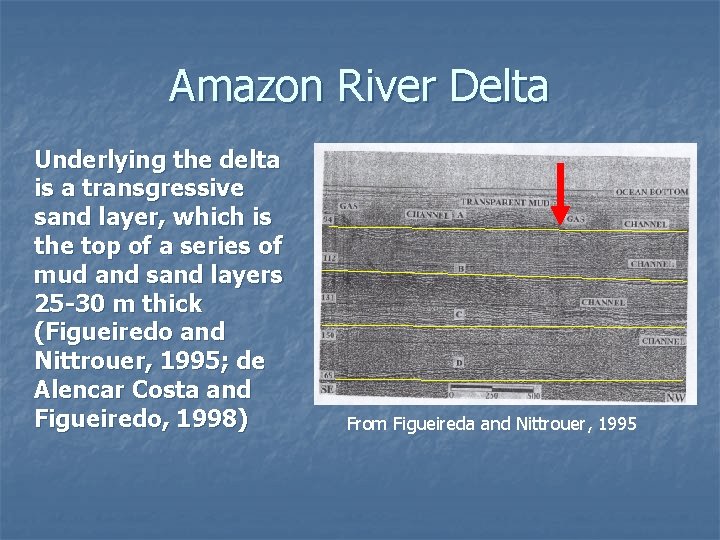 Amazon River Delta Underlying the delta is a transgressive sand layer, which is the