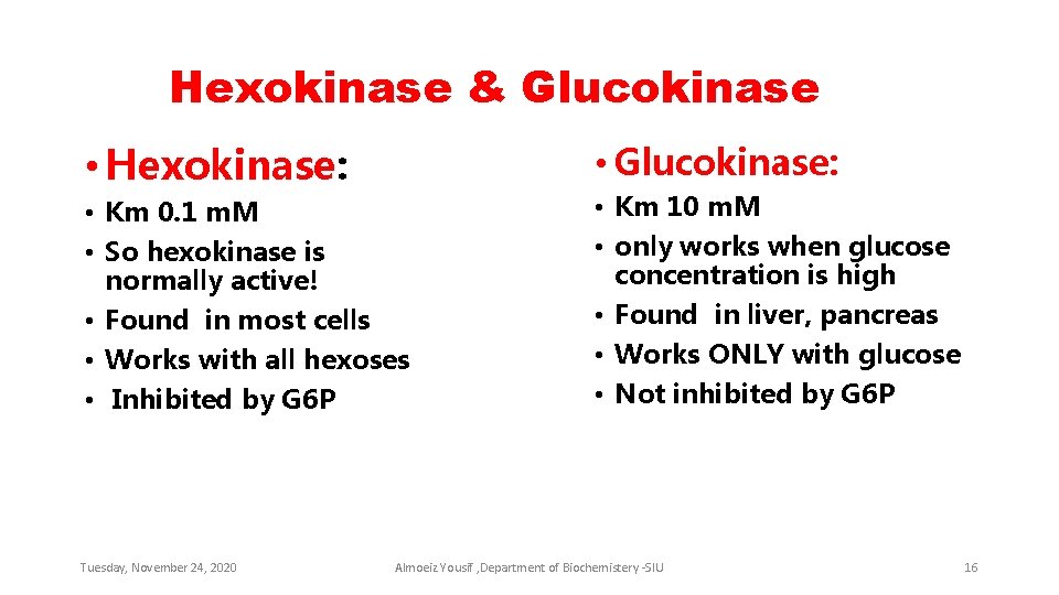 Hexokinase & Glucokinase • Hexokinase: • Glucokinase: • Km 0. 1 m. M •