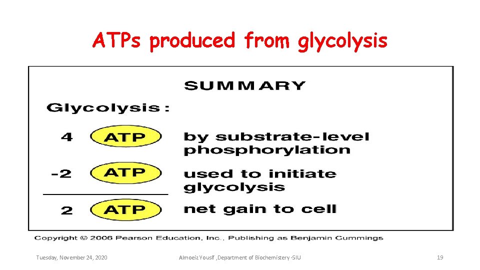 ATPs produced from glycolysis Tuesday, November 24, 2020 Almoeiz Yousif , Department of Biochemistery