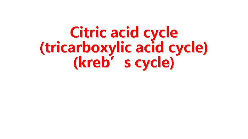 Citric acid cycle (tricarboxylic acid cycle) (kreb’s cycle) 