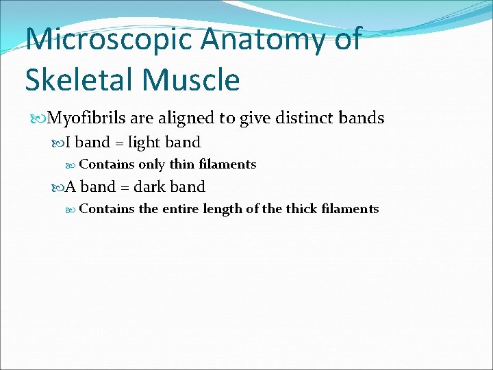 Microscopic Anatomy of Skeletal Muscle Myofibrils are aligned to give distinct bands I band