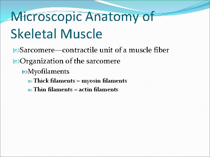 Microscopic Anatomy of Skeletal Muscle Sarcomere—contractile unit of a muscle fiber Organization of the