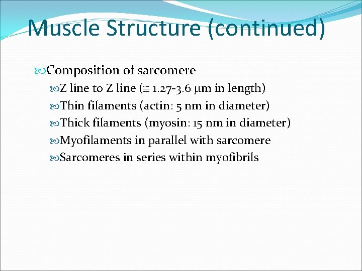 Muscle Structure (continued) Composition of sarcomere Z line to Z line ( 1. 27