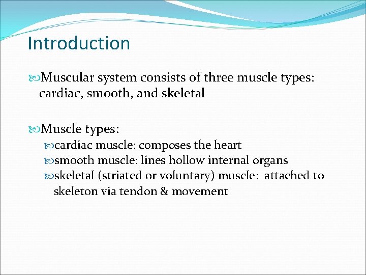 Introduction Muscular system consists of three muscle types: cardiac, smooth, and skeletal Muscle types: