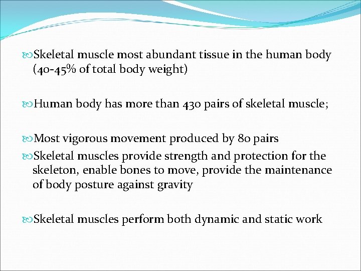  Skeletal muscle most abundant tissue in the human body (40 -45% of total