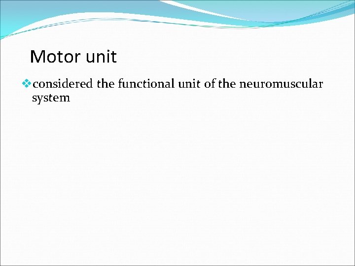 Motor unit vconsidered the functional unit of the neuromuscular system 