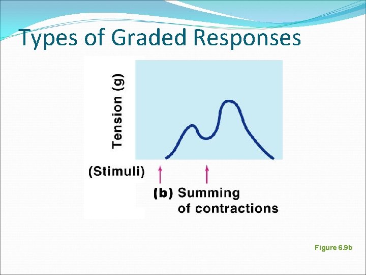 Types of Graded Responses Figure 6. 9 b 