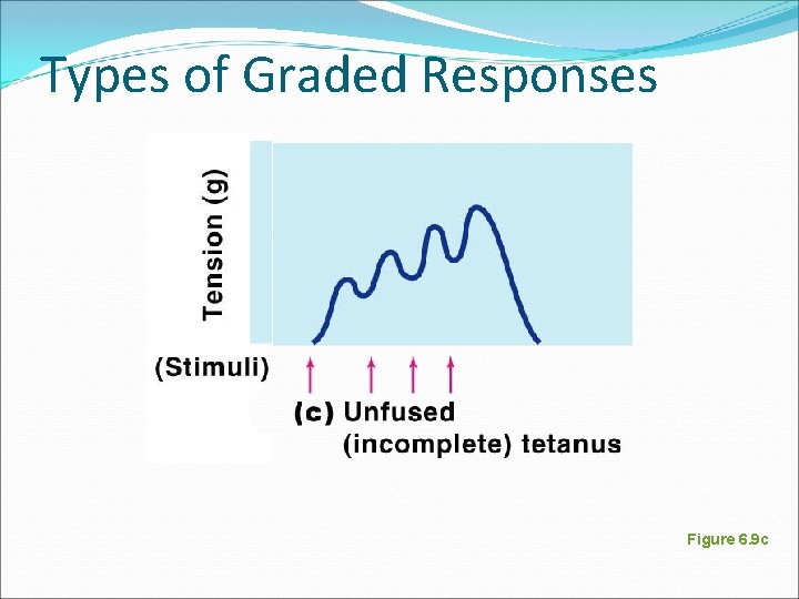 Types of Graded Responses Figure 6. 9 c 