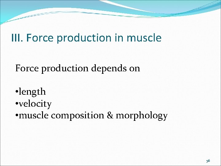 III. Force production in muscle Force production depends on • length • velocity •