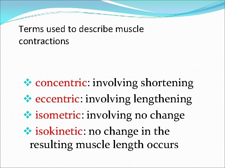Terms used to describe muscle contractions v concentric: involving shortening v eccentric: involving lengthening