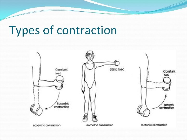 Types of contraction 