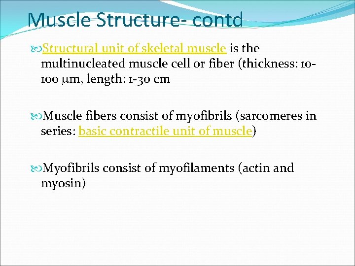 Muscle Structure- contd Structural unit of skeletal muscle is the multinucleated muscle cell or