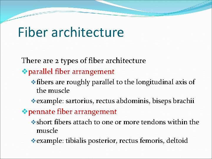 Fiber architecture There are 2 types of fiber architecture vparallel fiber arrangement v fibers