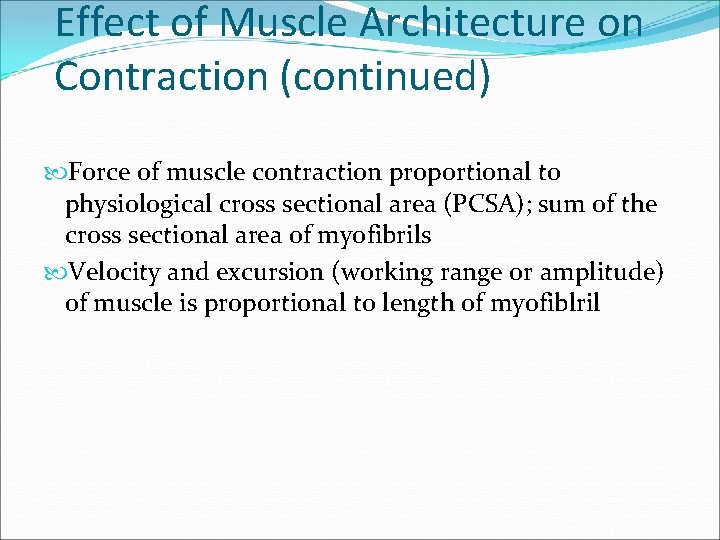 Effect of Muscle Architecture on Contraction (continued) Force of muscle contraction proportional to physiological