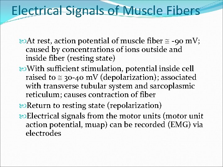 Electrical Signals of Muscle Fibers At rest, action potential of muscle fiber -90 m.