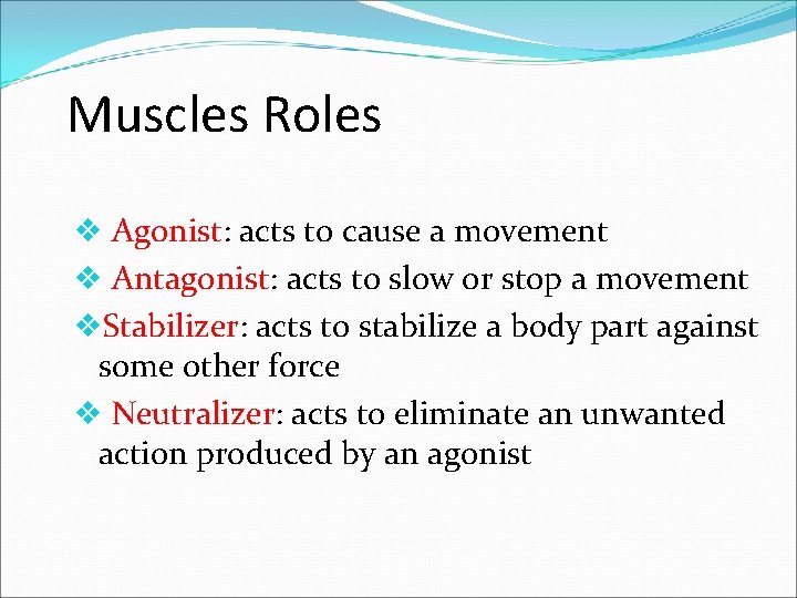 Muscles Roles v Agonist: acts to cause a movement v Antagonist: acts to slow