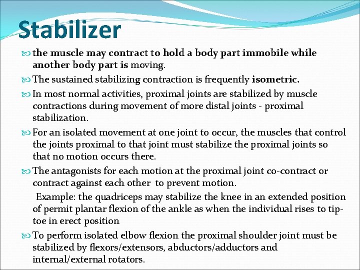 Stabilizer the muscle may contract to hold a body part immobile while another body