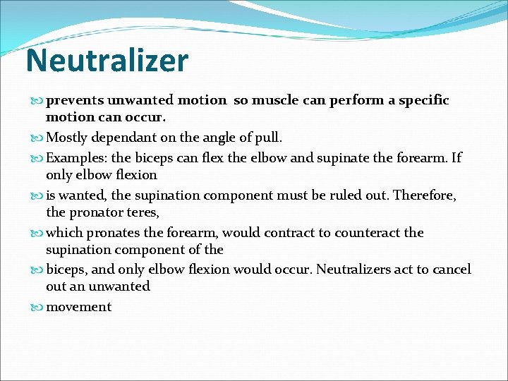 Neutralizer prevents unwanted motion so muscle can perform a specific motion can occur. Mostly