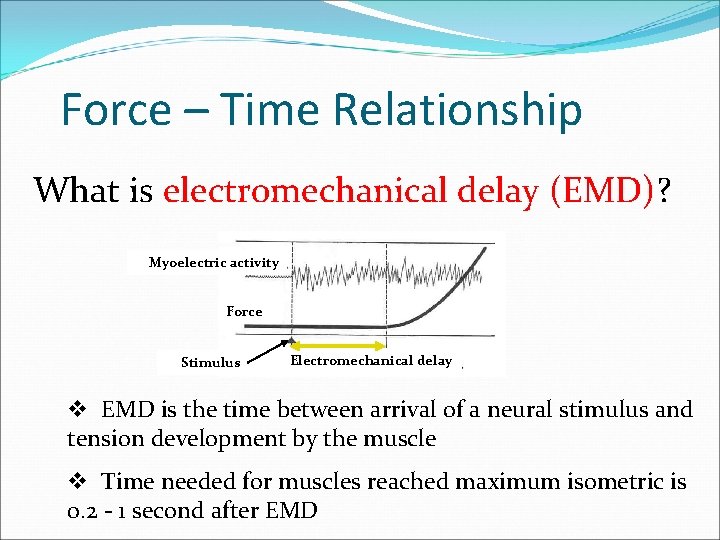 Force – Time Relationship What is electromechanical delay (EMD)? Myoelectric activity Force Stimulus Electromechanical