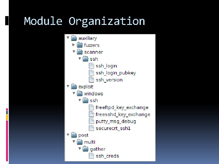 Module Organization 