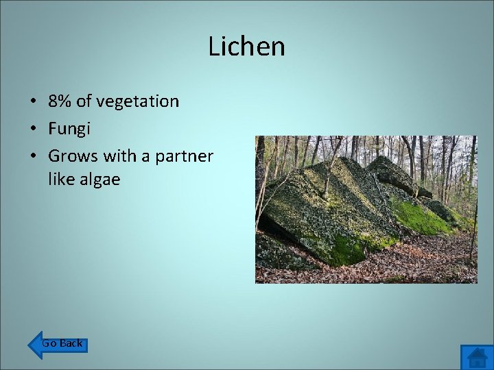 Lichen • 8% of vegetation • Fungi • Grows with a partner like algae