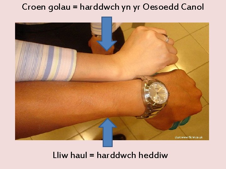 Croen golau = harddwch yn yr Oesoedd Canol Llun: www. flickr. co. uk Lliw