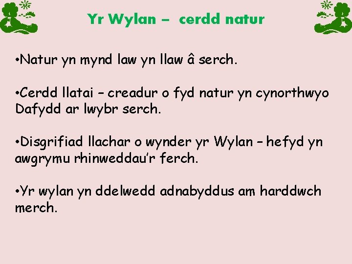 Yr Wylan – cerdd natur • Natur yn mynd law yn llaw â serch.