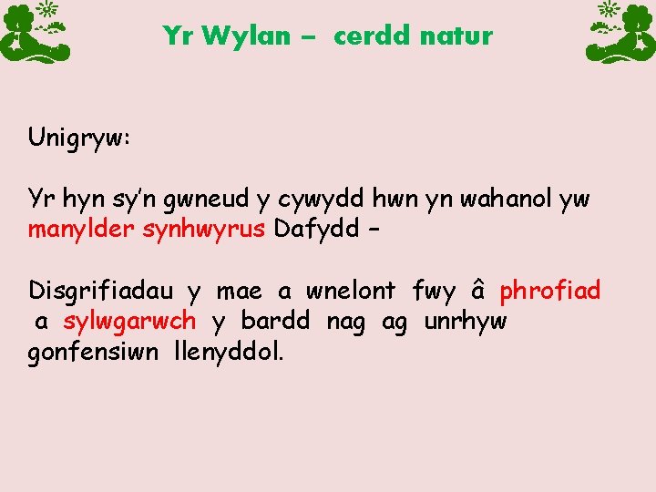 Yr Wylan – cerdd natur Unigryw: Yr hyn sy’n gwneud y cywydd hwn yn