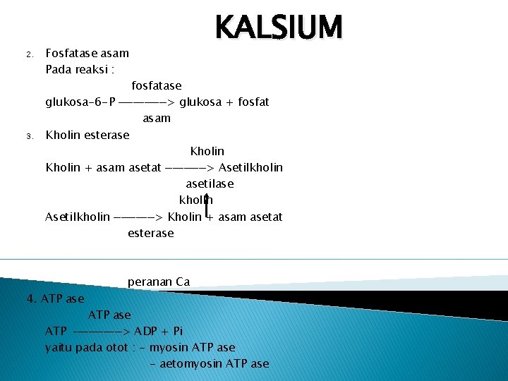 2. 3. Fosfatase asam Pada reaksi : KALSIUM fosfatase glukosa-6 -P _______> glukosa +