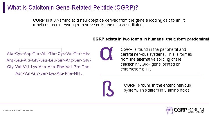 What is Calcitonin Gene-Related Peptide (CGRP)? CGRP is a 37 -amino acid neuropeptide derived