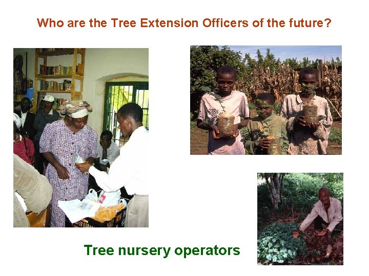 Who are the Tree Extension Officers of the future? Tree nursery operators 