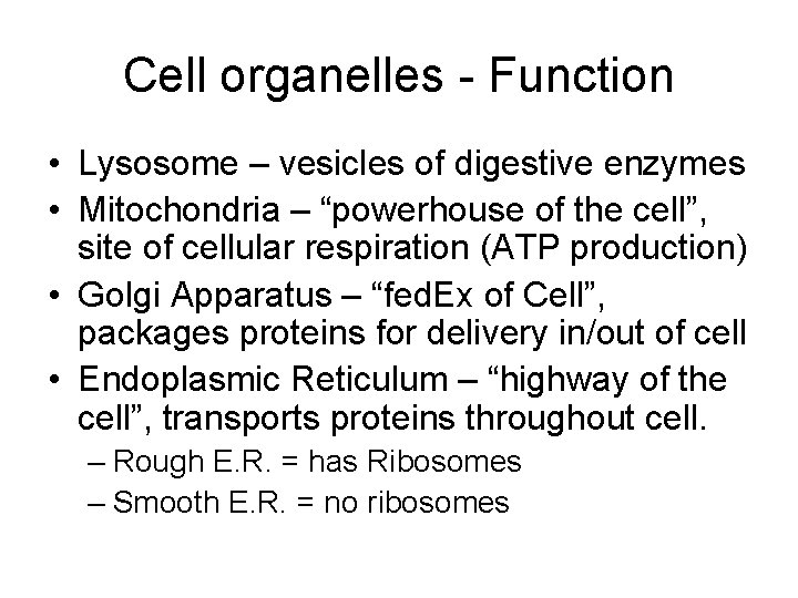 Cell organelles - Function • Lysosome – vesicles of digestive enzymes • Mitochondria –