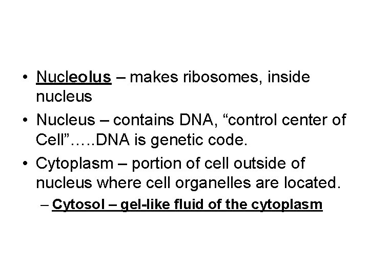  • Nucleolus – makes ribosomes, inside nucleus • Nucleus – contains DNA, “control