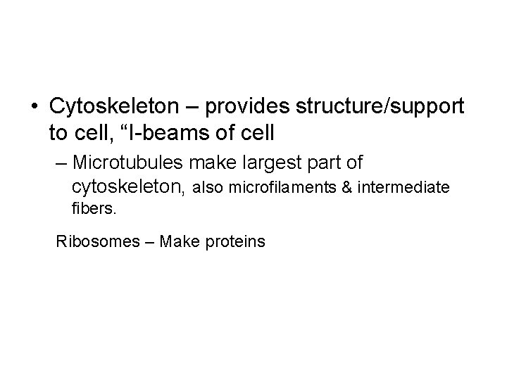  • Cytoskeleton – provides structure/support to cell, “I-beams of cell – Microtubules make