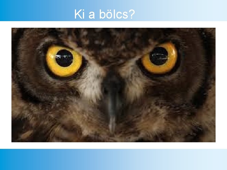 Ki a bölcs? 