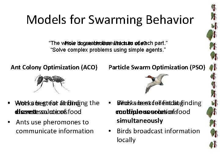 Models for Swarming Behavior “The whole than which the sum of each part. ”