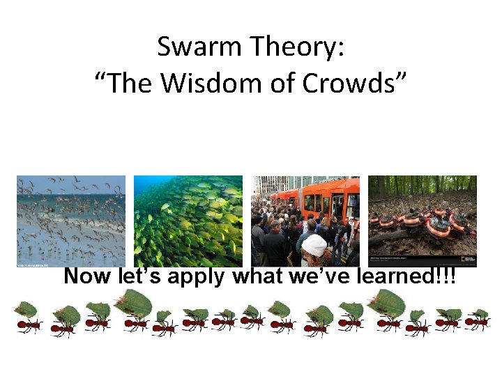 Swarm Theory: “The Wisdom of Crowds” Now let’s apply what we’ve learned!!! 