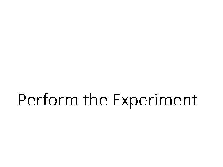 Perform the Experiment 