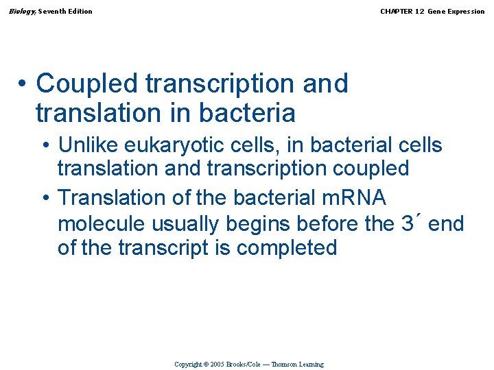 Biology, Seventh Edition CHAPTER 12 Gene Expression • Coupled transcription and translation in bacteria