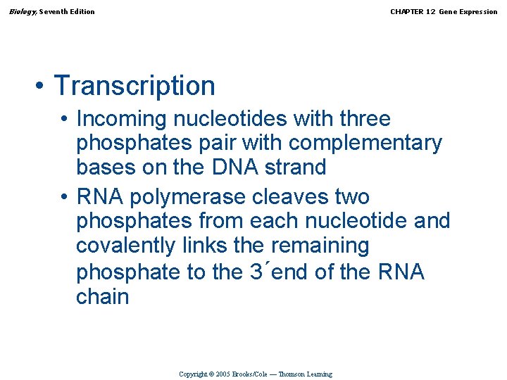 Biology, Seventh Edition CHAPTER 12 Gene Expression • Transcription • Incoming nucleotides with three