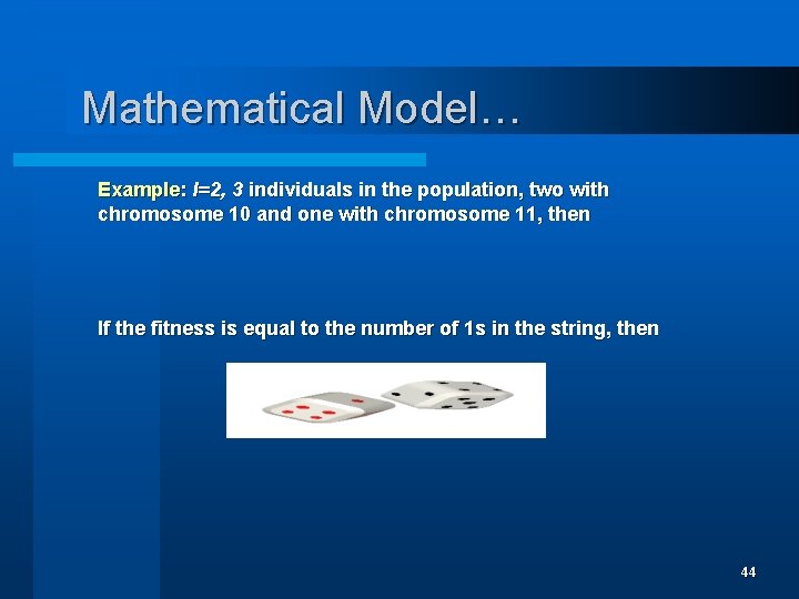 Mathematical Model… Example: l=2, 3 individuals in the population, two with chromosome 10 and