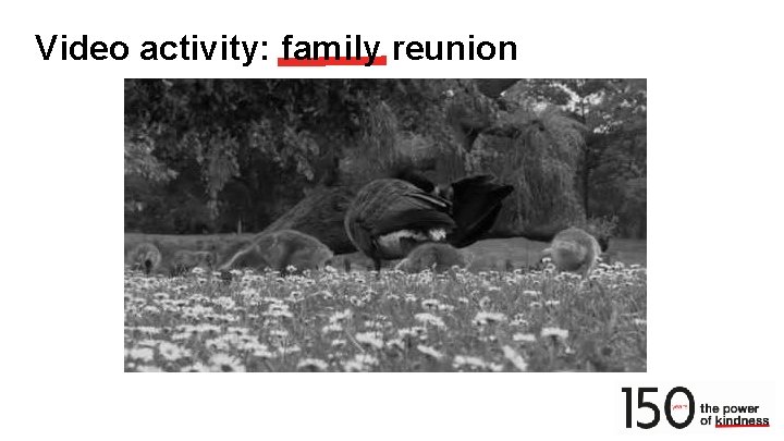 Video activity: family reunion 
