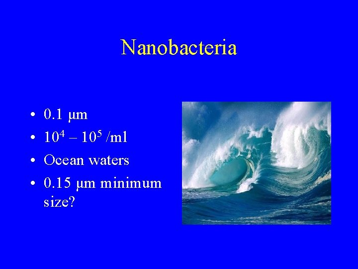Nanobacteria • • 0. 1 μm 104 – 105 /ml Ocean waters 0. 15