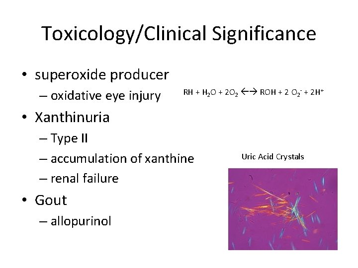 Toxicology/Clinical Significance • superoxide producer – oxidative eye injury RH + H 2 O