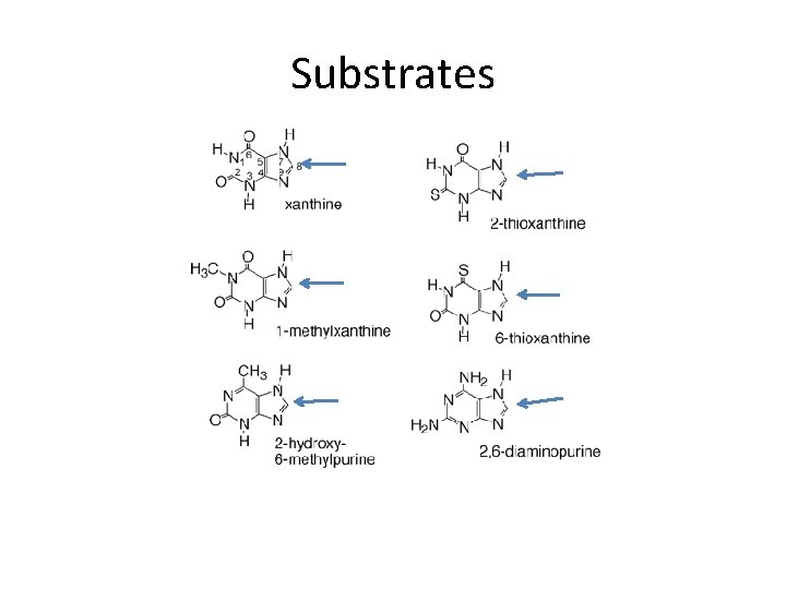 Substrates 